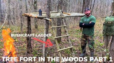 Building a Tree Fort In The Woods Part 1 and Grilled Cheese, Turkey and Ham with Tomato Onion Soup