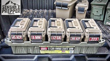 MTM Case-Gard Mini Crate Ammo Storage Review
