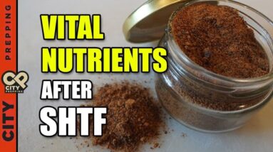 How to Make Meat Powder (DIY)