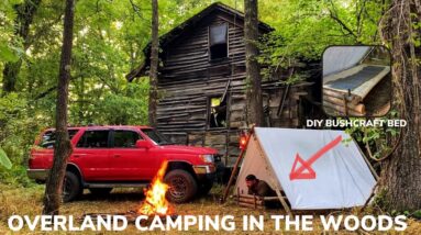 Solo Overnight Overland Camping Next To An Abandoned Cabin In The Woods and Bacon Ribeye Stir fry.