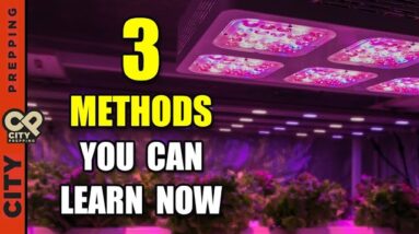 How to Grow an Indoor Garden During Winter