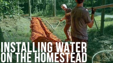 Installing Water | Forest to Farm