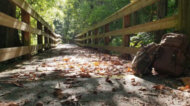 Bays Mountain Tennessee in Fall 2021