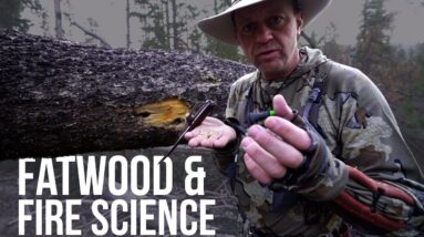 Fatwood and Fire Science | TJack Survival