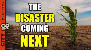 I’m Afraid We’re Going to Have a Food Crisis Shortly