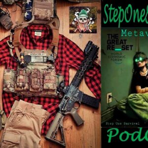 Metaverse Survival Podcast