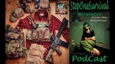 Metaverse Survival Podcast