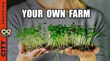 How to Grow Sprouts & Microgreens (DIY)