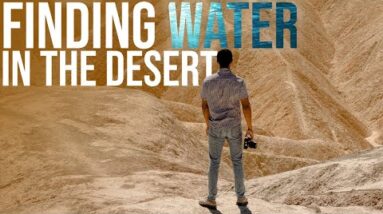 Water Procurement in the Desert | TJack Survival