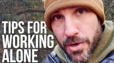 Tips for Clearing Trees and Brush Alone | ON Three