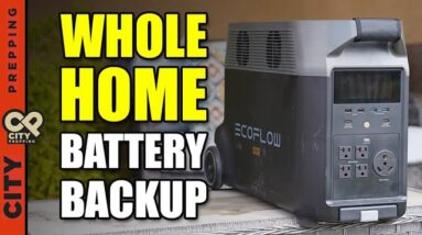 Power Your Home When the Grid is Down: Ecoflow Delta Pro