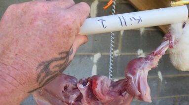 The Only Way You're Gonna Survive.