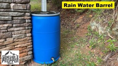 Easy DIY Rain Water Catchment System