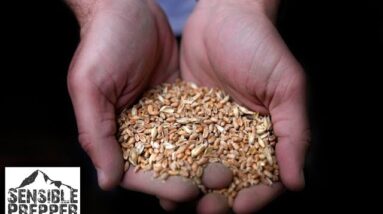 Food Shortages Coming:  15 Things you can do