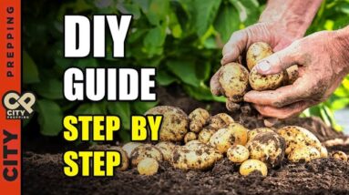 How to Build a Potato Tower