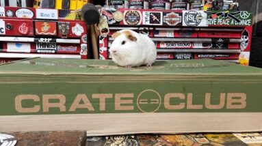 Crate Club
