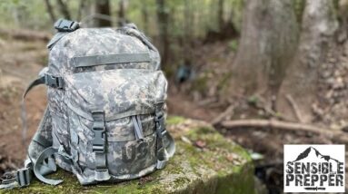 U.S. Army MOLLE II 3 Day Assault Pack Surplus Review