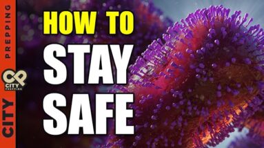 Monkeypox: What You Need to Know ... Symptoms and Safety