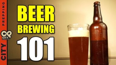 The Ultimate Beer Brewing Introduction Guide: A DIY Guide