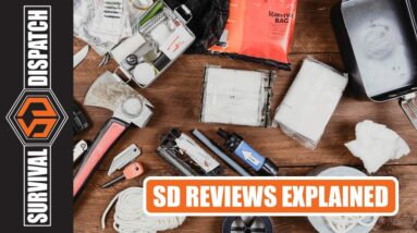 Survival Dispatch Reviews Explained