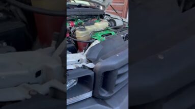 Diesel Shortage? No Problem For This Prepper!