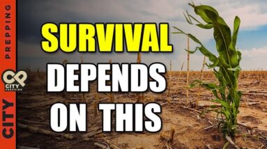 When Food Runs Out: 5 Factors That Will Make All the Difference