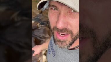 A Day In The Life Of Homesteader Jason Salyer In 60 Seconds