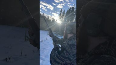 Norinco SKS Winter Training