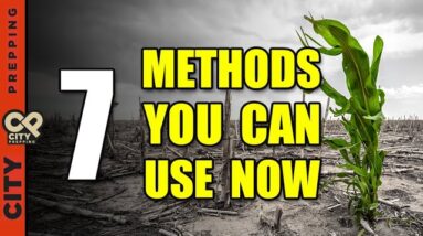 The Collapsing Food Supply Chain: How To Free Yourself