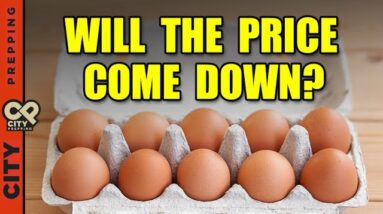 Why Are Egg Prices So High? What's Causing It?