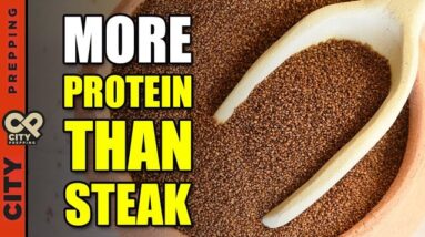 High Meat Prices! 47 Affordable High Protein Alternatives (Recipes Included)
