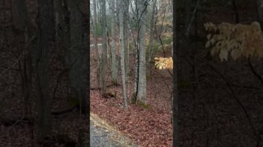 Could You Survive 3 Miles With 35 Pounds On Your Back & Finish With 200 Push-ups?