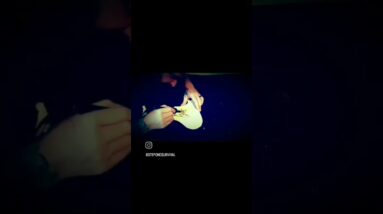 357mag Celtic Holster