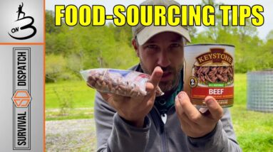 Foraging vs Hunting vs Farming vs Stockpiling: Which One Triumphs?