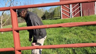 Two Things I Wish I'd Thought Of Sooner