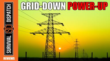 Power Up 4 Circuits During Grid-Down, 1/3 Of The Cost Of A Tesla Powerwall