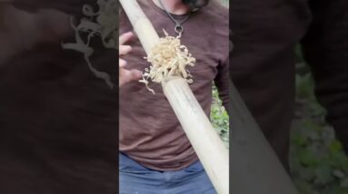 Primitive Survival Bamboo Shelter | ON3 Jason Salyer