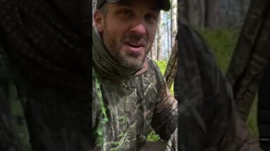 Turkey Hunting | ON3 Jason Salyer