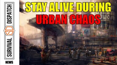 Urban Survival: Most Effective Tactics to Outsmart Urban Danger