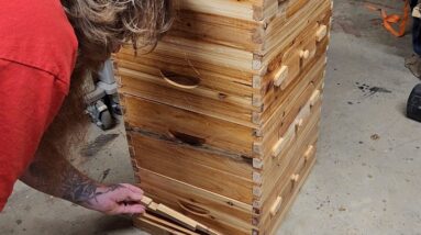 VEVOR Bee Hive, 4 Layer, 10 Frame Complete Beehive Kit, for Beginners & Pro Beekeepers