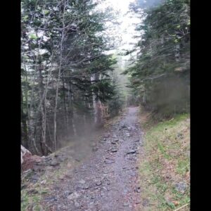 Rain & Hail On The Trail | AOWS