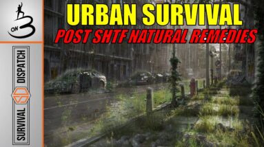 Post-Apocalyptic Pharmacy: Holistic Remedies for Survival | ON3 Jason Salyer