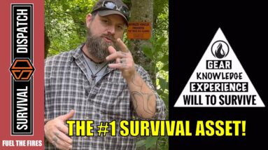 Urban Survival: The Essentials | Fuel The Fires