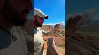Eating a Military MRE For a 24 Hour Survival Challenge? | ON3 Jason Salyer