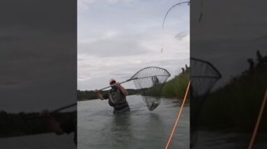 Alaskan Kenai Salmon Fishing | TJack Survival