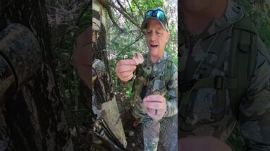Alaskan Tinder Magic | TJack Survival