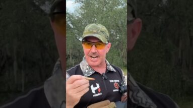 How quiet is .300 Blackout Suppressed?
