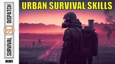 Urban Bushcraft Skills that can Save Your Life in SHTF - Georgia Bushcraft Helps You Survive