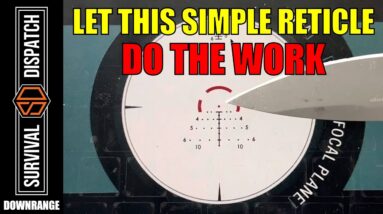 Master the art of Long-Range Accuracy With Minimal Practice
