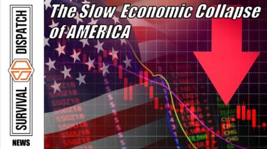 Learn Proven Survival Strategies to Prepare for our Gradual Economic Collapse